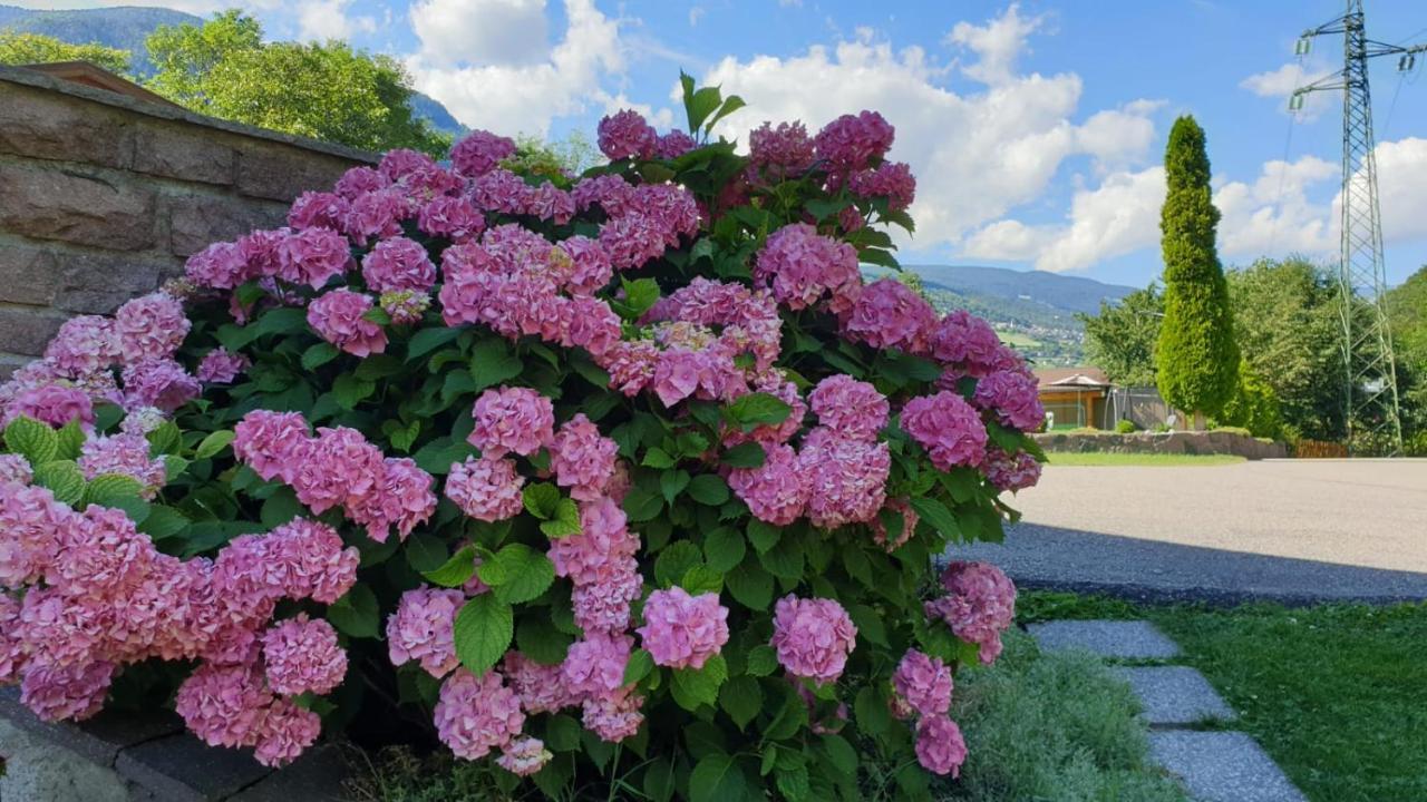 Ferienwohnungen Koflerhof カステルロット エクステリア 写真