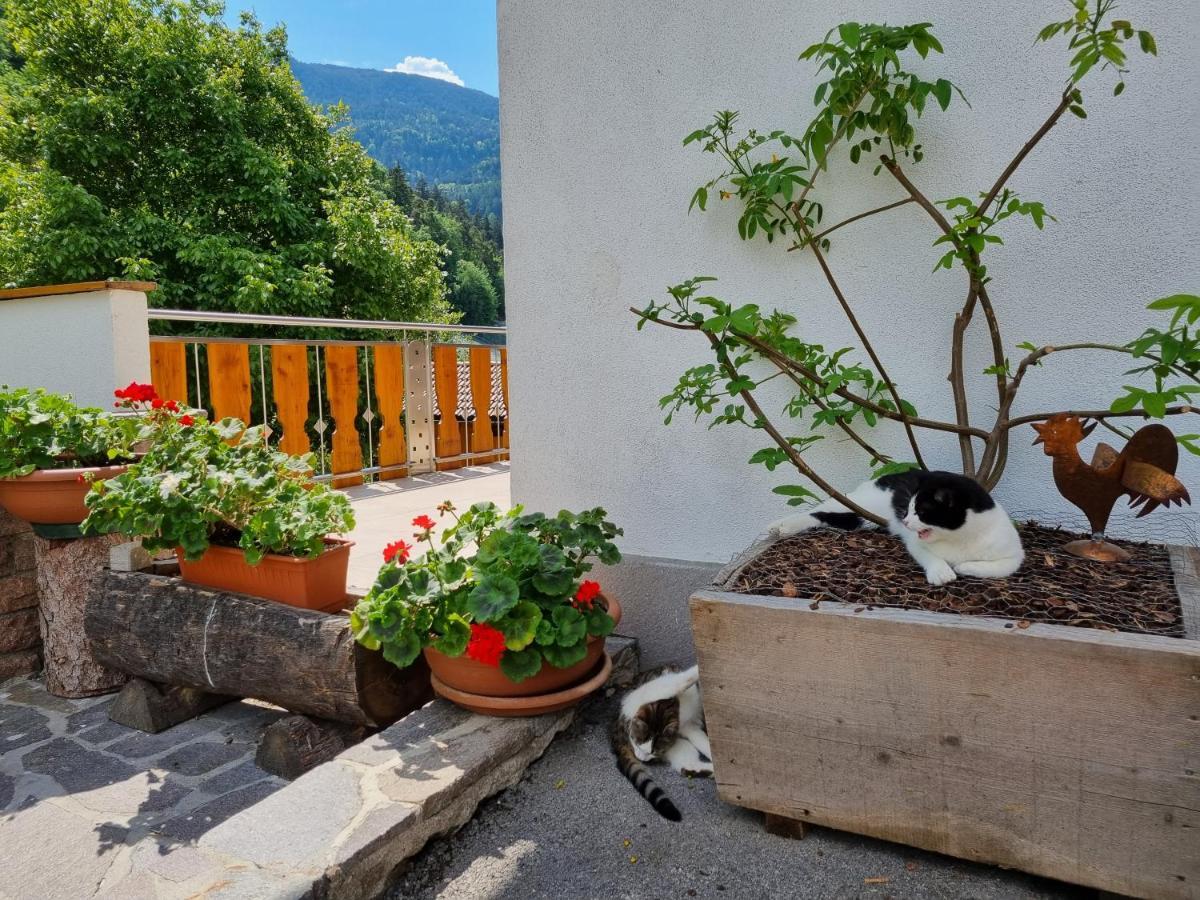 Ferienwohnungen Koflerhof カステルロット エクステリア 写真